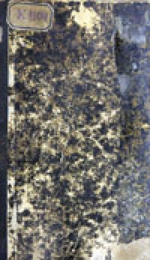 Обложка Электронного документа: Очерки далекой Сибири