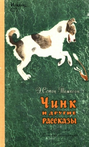 Обложка Электронного документа: Чинк и другие рассказы