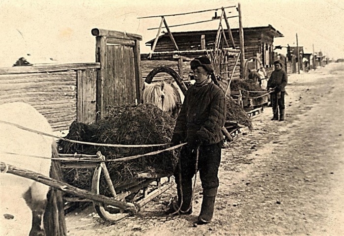 Обложка Электронного документа: Удобрение полей. Маган: фотография