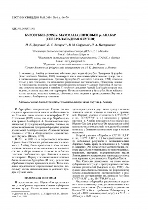 Обложка Электронного документа: Бурозубки (Sorex, Mammalia) низовьев р. Анабар (Северо-Западная Якутия) <br>Shrews (Sorex, Mammalia) of the lower Anabar river, North-West of Yakutia
