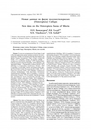 Обложка Электронного документа: Новые данные по фауне полужесткокрылых (Heteroptera) Сибири <br>New data on the Heteroptera fauna of Siberia