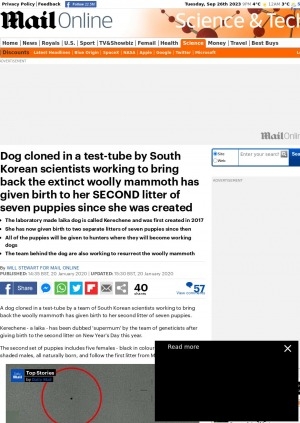 Обложка Электронного документа: Dog cloned in a test-tube by South Korean scientists working to bring back the extinct woolly mammoth has given birth to her second litter of seven puppies since she was created